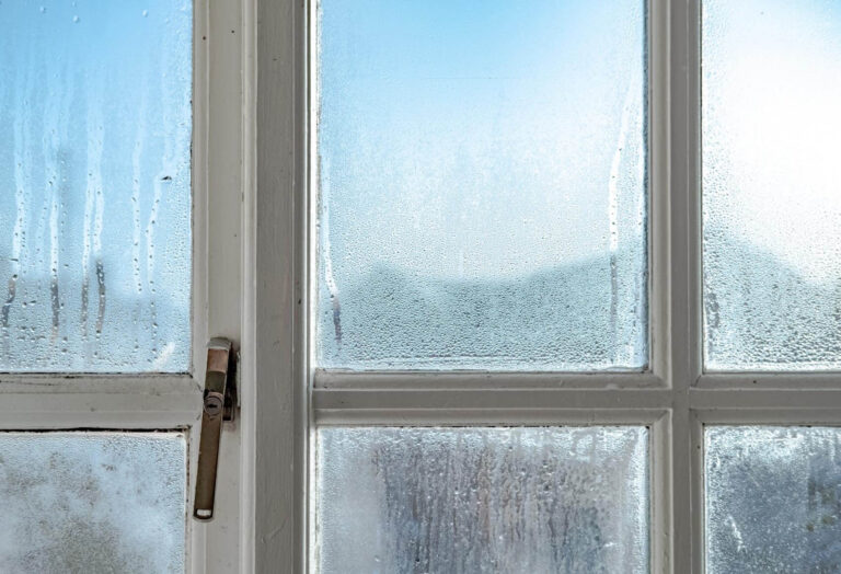Is Condensation on Your Windows Really an Issue?